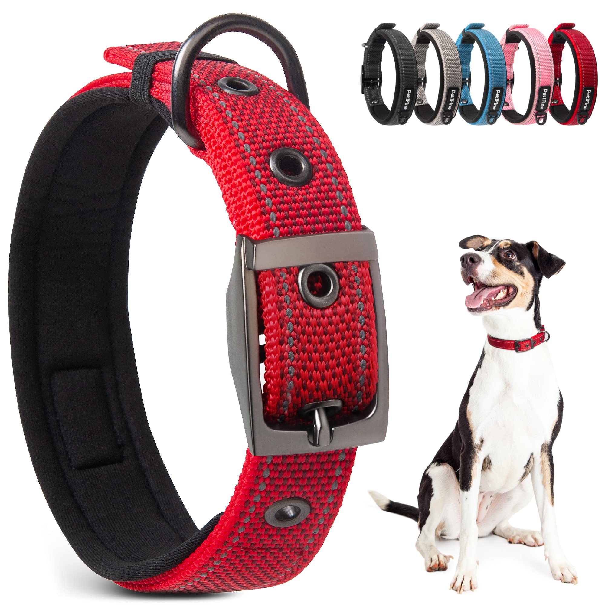 An application scenario or product detail of safest collar for dogs - Image 9