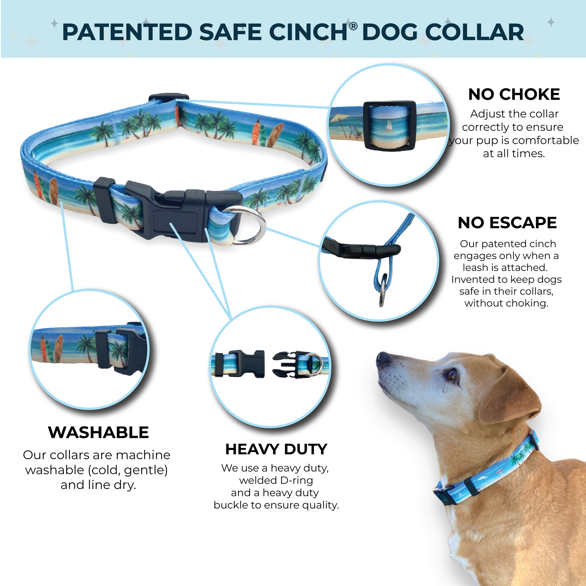 An application scenario or product detail of safest collar for dogs - Image 11