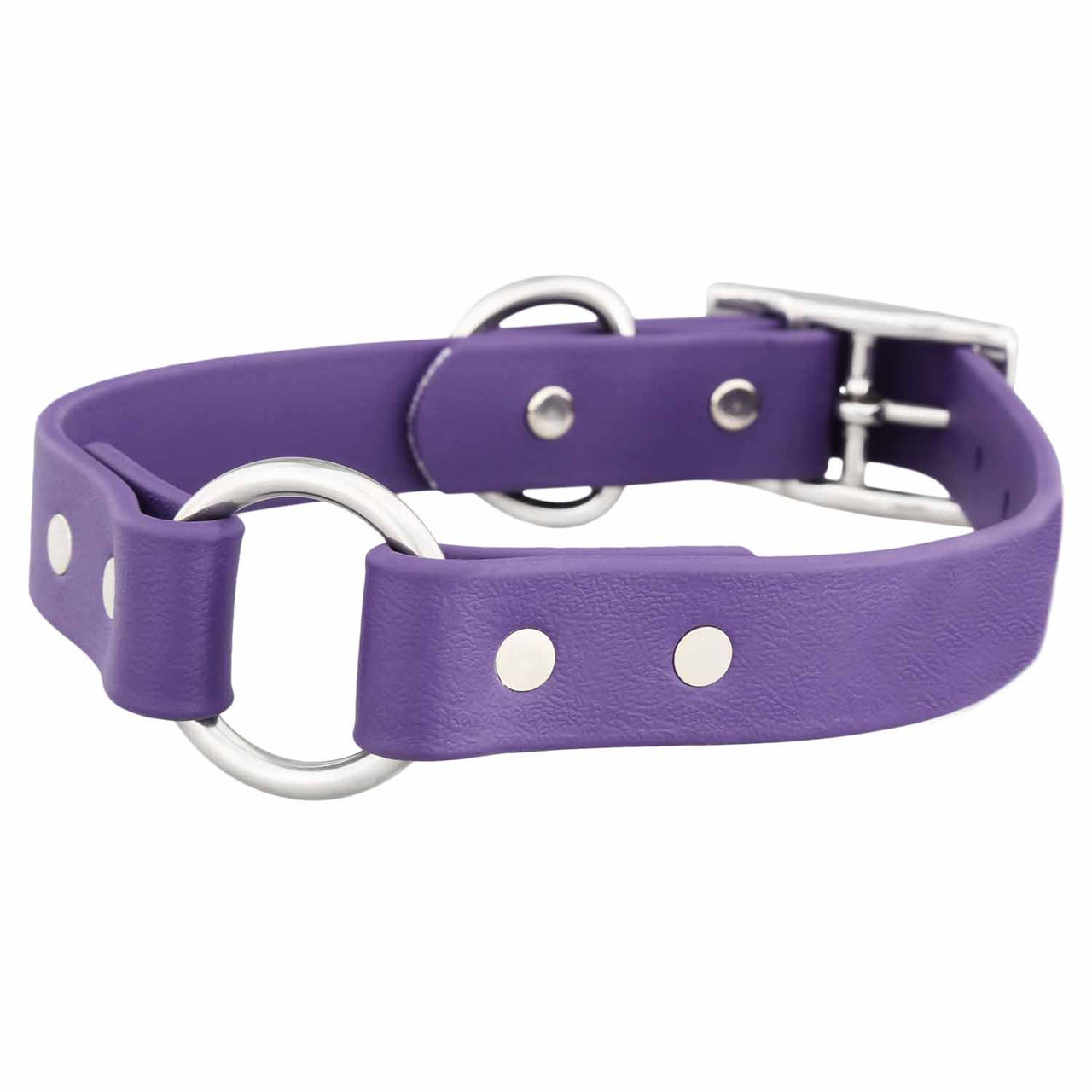 An application scenario or product detail of safest collar for dogs - Image 15