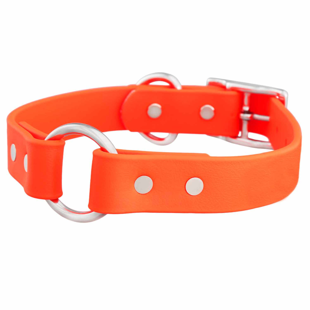 An application scenario or product detail of safest collar for dogs - Image 22