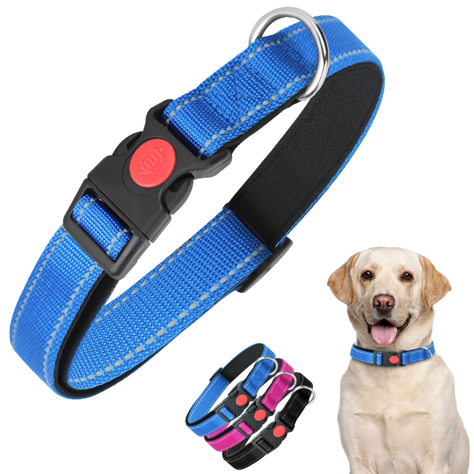 An application scenario or product detail of safest collar for dogs - Image 24