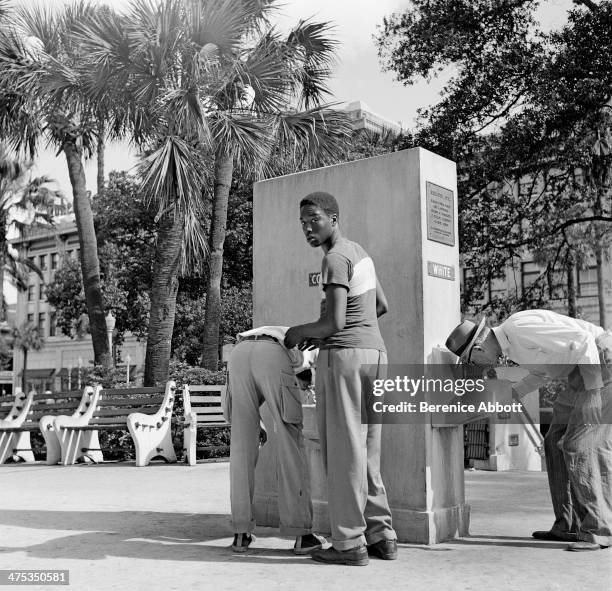 An application scenario or product detail of segregated water fountain - Image 14