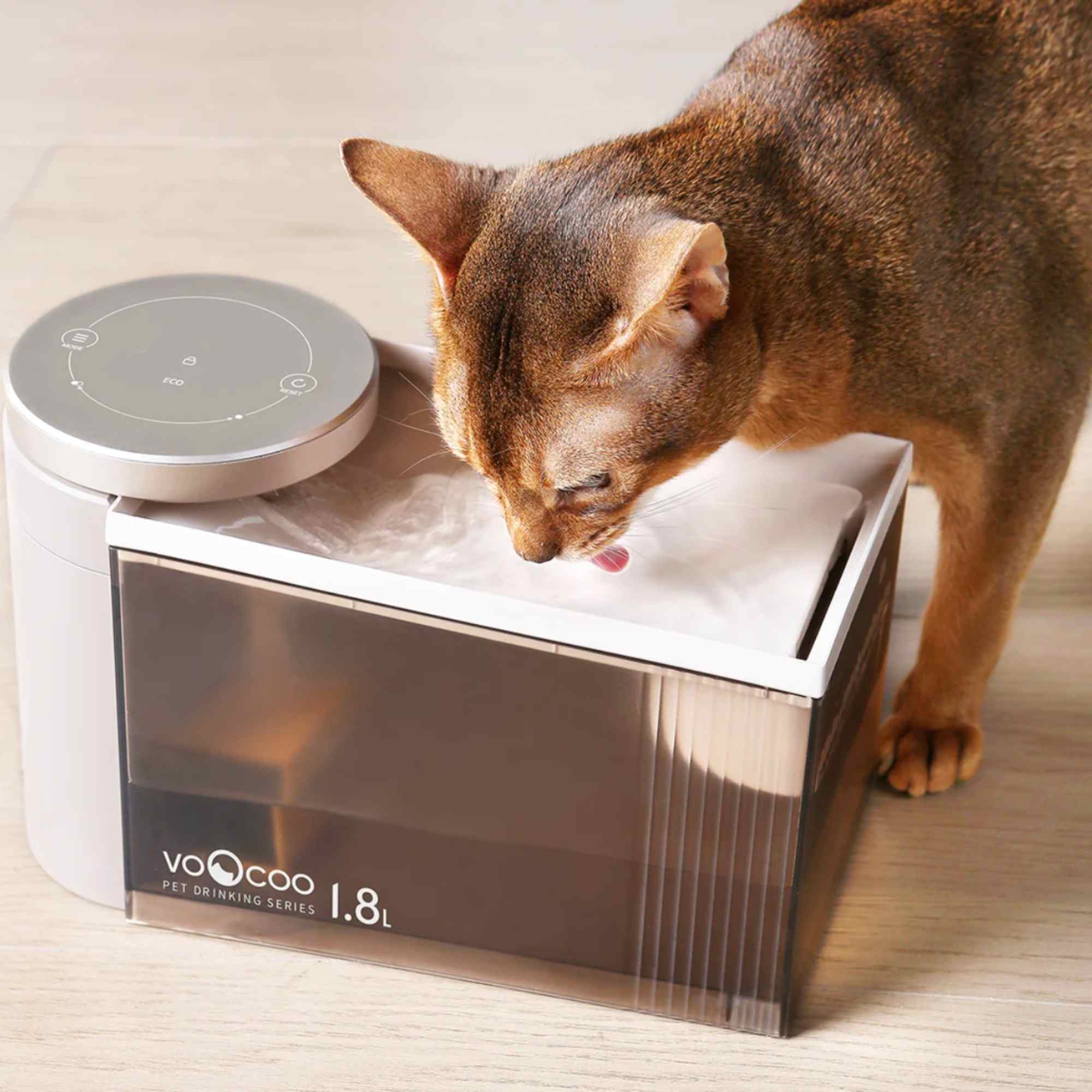 An application scenario or product detail of self cleaning cat fountain - Image 10