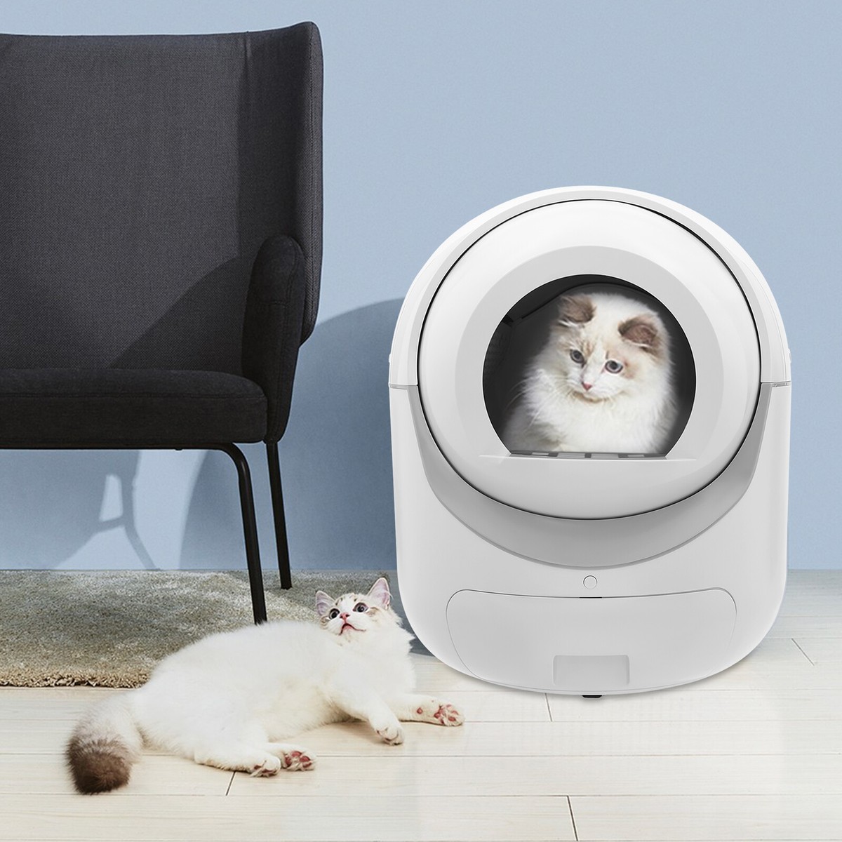 An application scenario or product detail of self cleaning cat litter boxes - Image 12