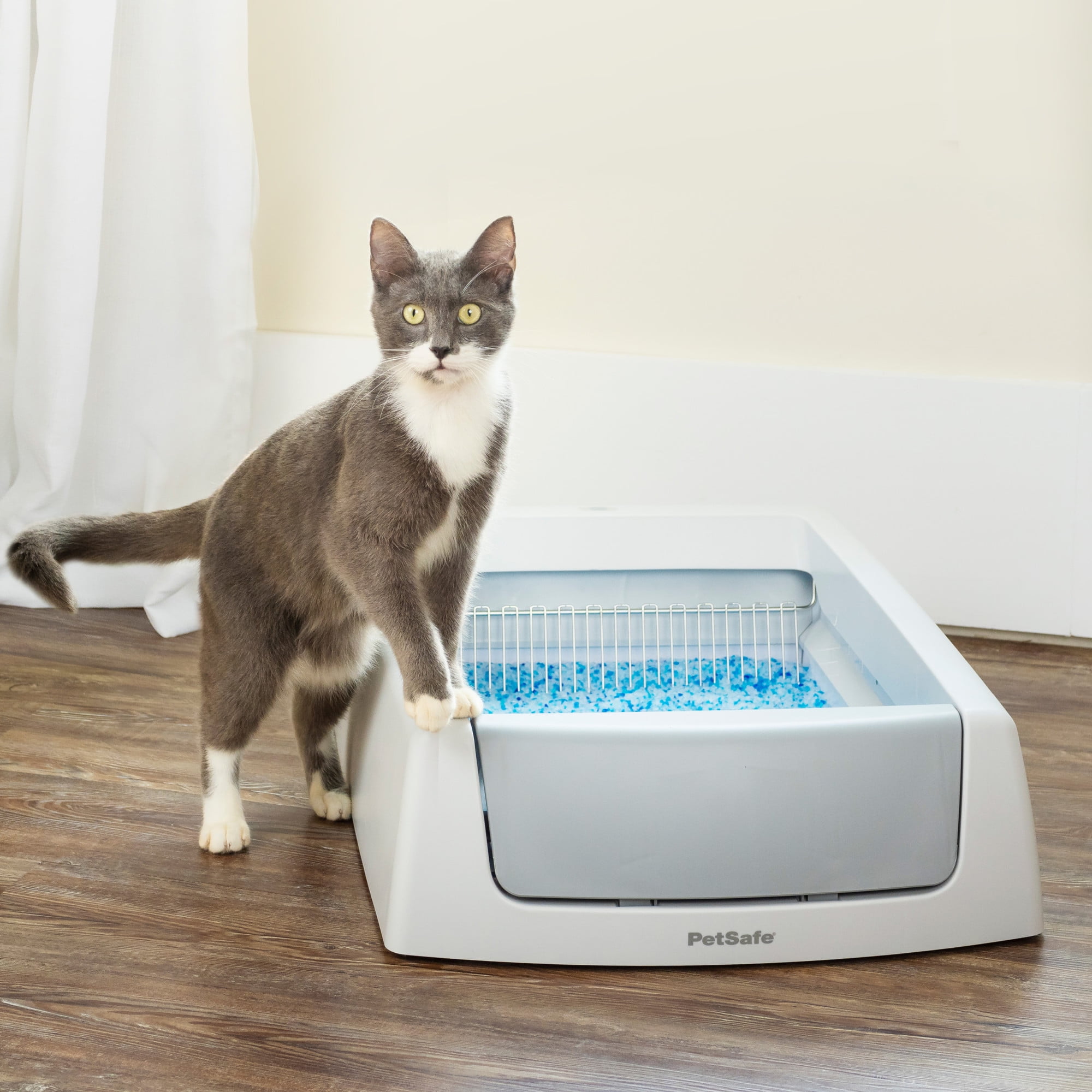 An application scenario or product detail of self cleaning cat litter boxes - Image 17