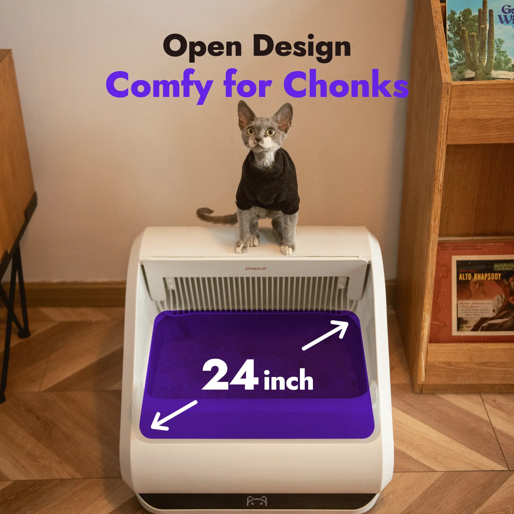 An application scenario or product detail of self cleaning kitty litter box - Image 3