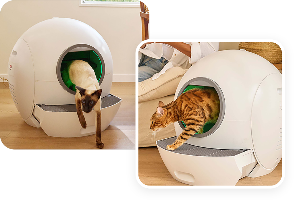 An application scenario or product detail of self cleaning kitty litter box - Image 11