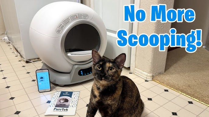 An application scenario or product detail of self cleaning kitty litter box - Image 19