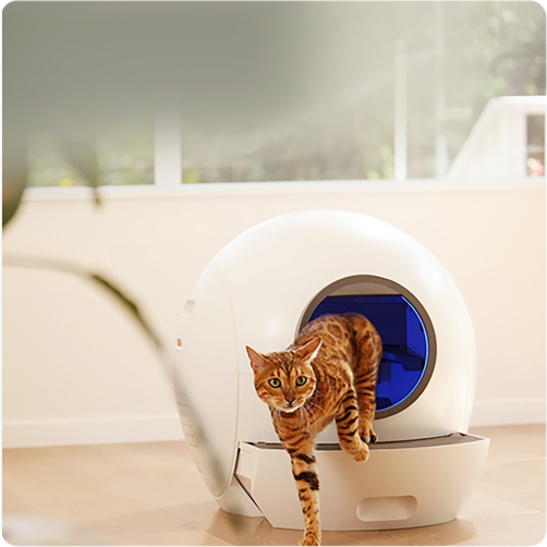 An application scenario or product detail of self cleaning kitty litter box - Image 21