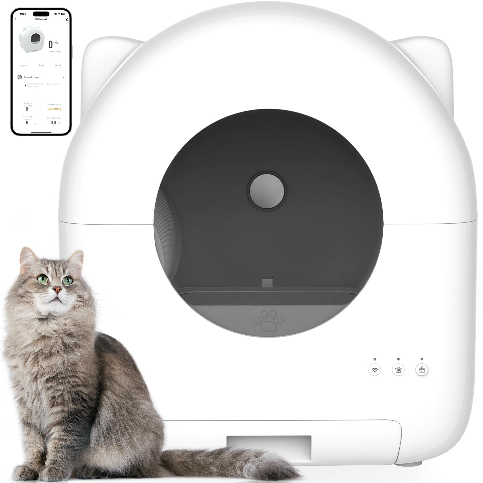 An application scenario or product detail of self cleaning litter box amazon - Image 17