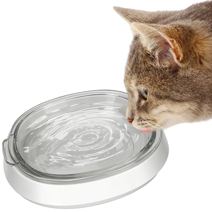 An application scenario or product detail of self cleaning water bowl for cats - Image 11