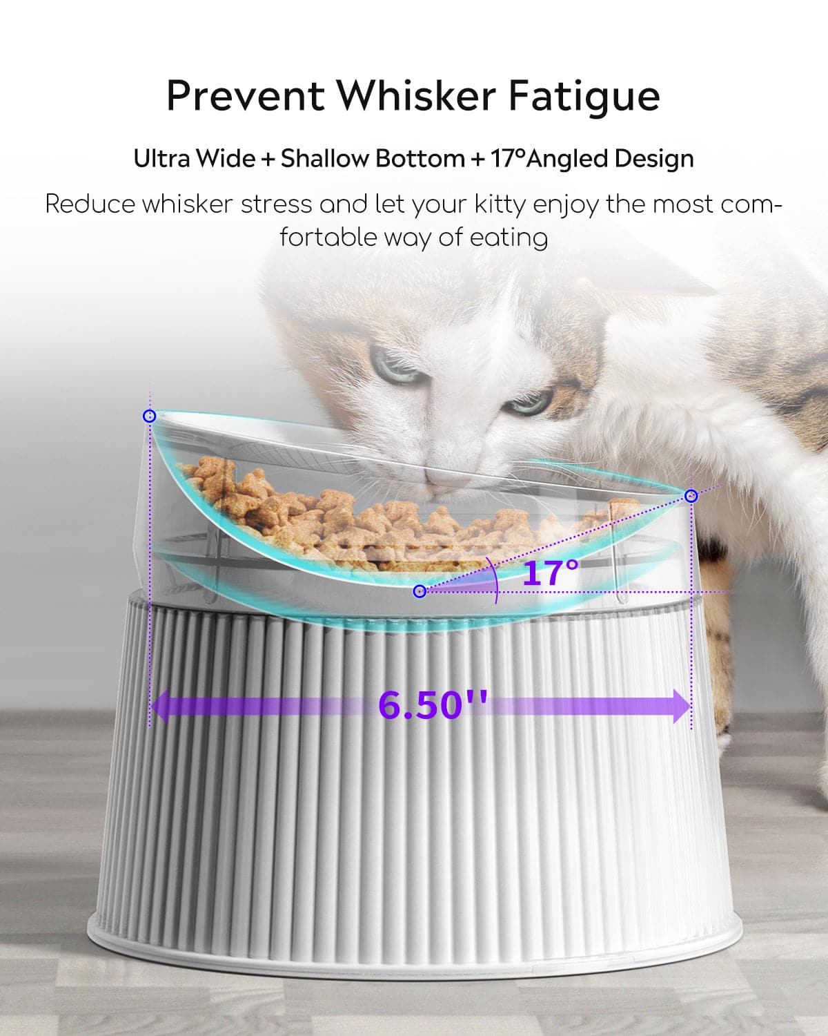 An application scenario or product detail of self cleaning water bowl for cats - Image 15