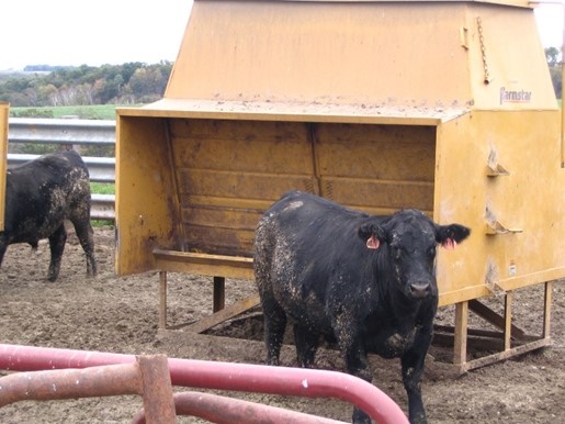 An application scenario or product detail of self feeder - Image 5