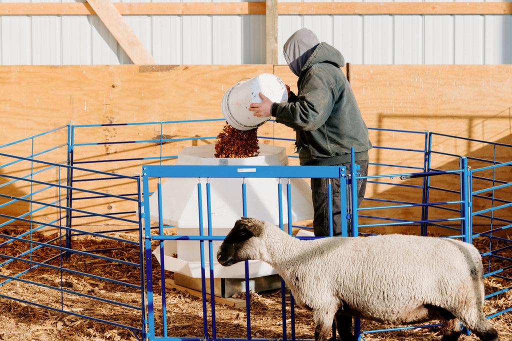An application scenario or product detail of self feeder - Image 6