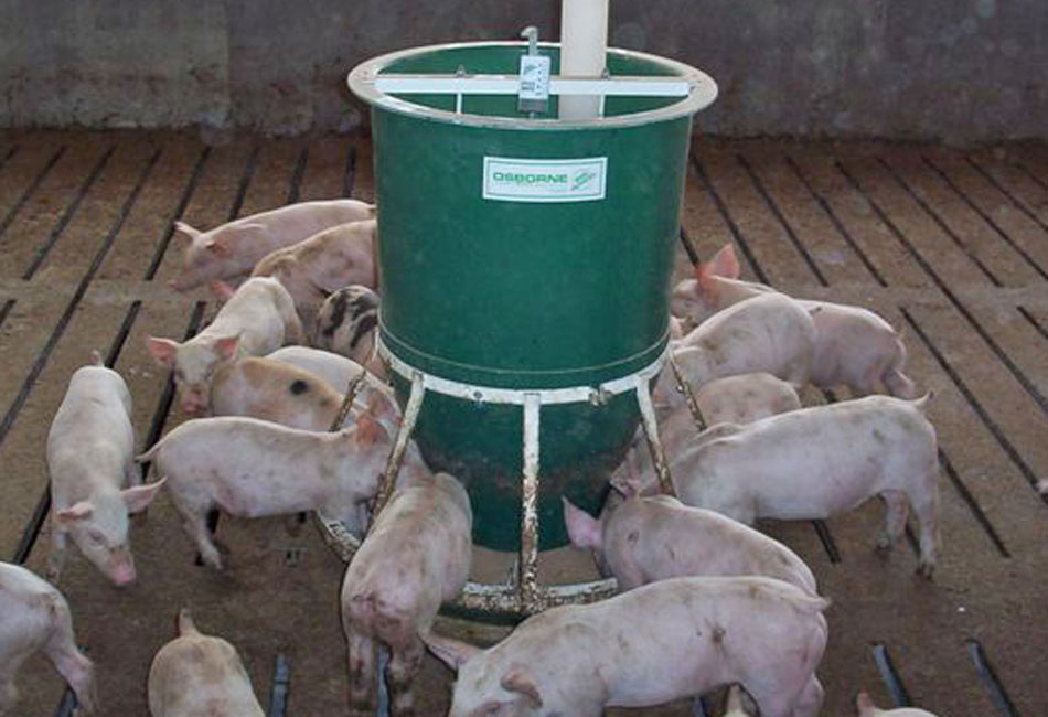 An application scenario or product detail of self feeder - Image 7