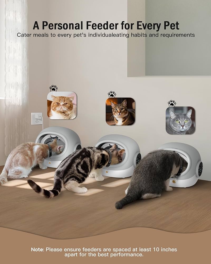 An application scenario or product detail of self feeder cat - Image 2