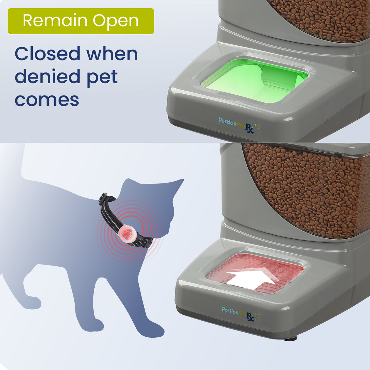 An application scenario or product detail of self feeder cat - Image 3