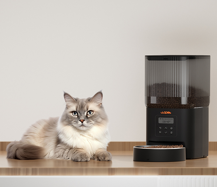 An application scenario or product detail of self feeder cat - Image 12