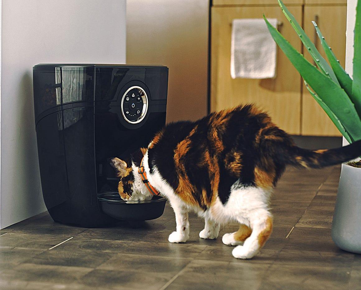 An application scenario or product detail of self feeder cat - Image 15