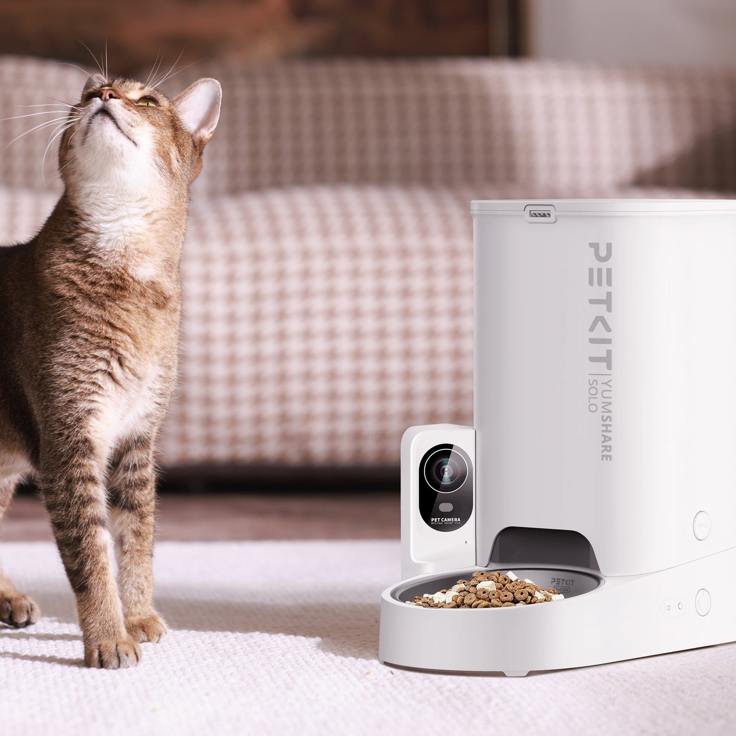 An application scenario or product detail of self feeder cat - Image 20