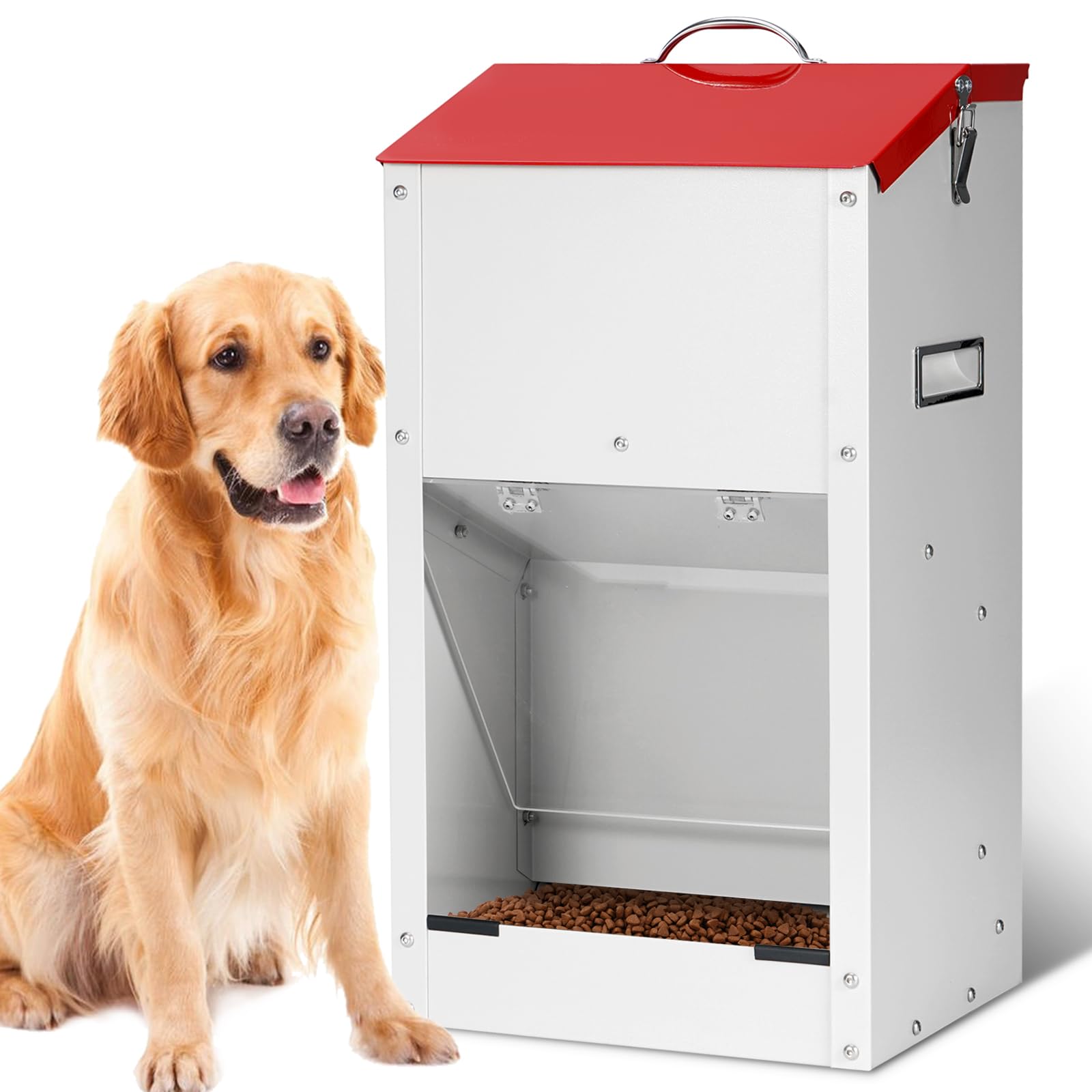 An application scenario or product detail of self feeding dog feeder - Image 2