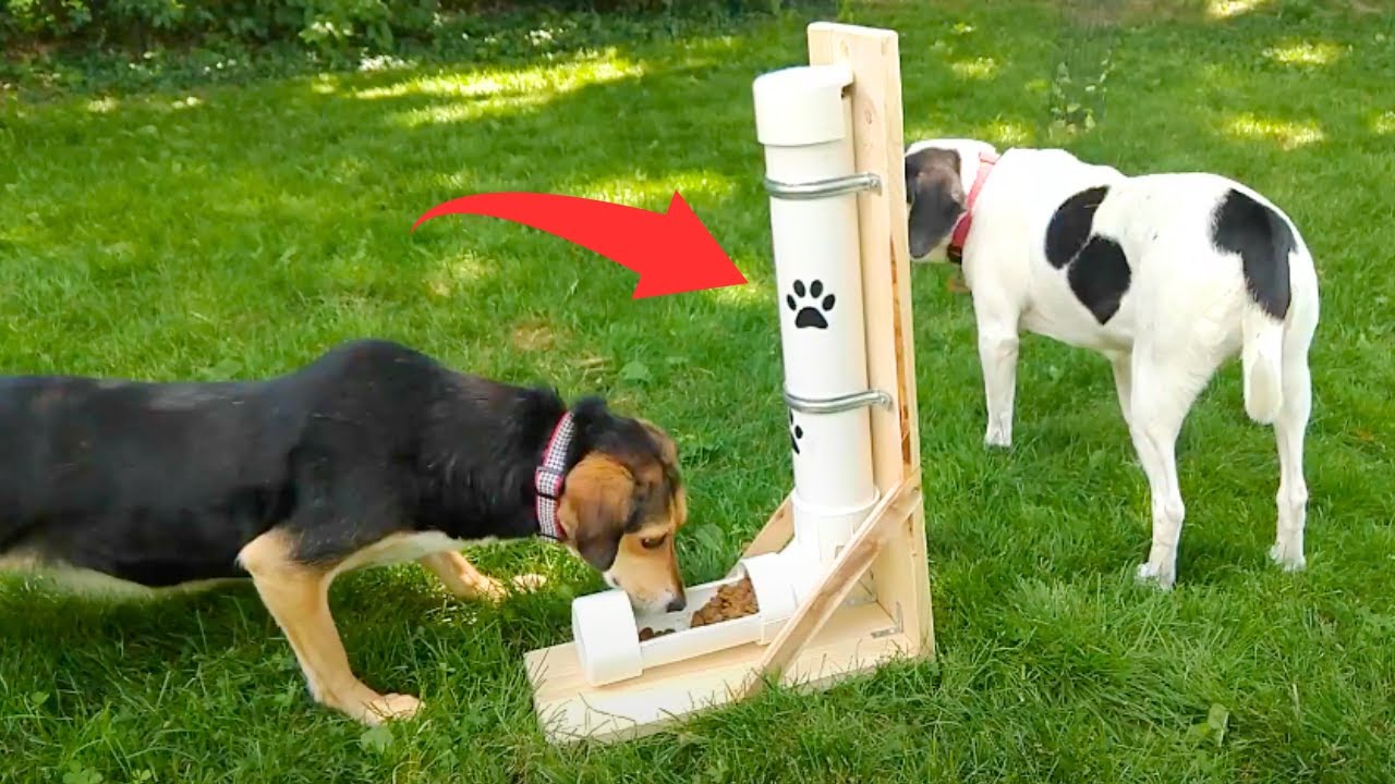 An application scenario or product detail of self feeding dog feeder - Image 8