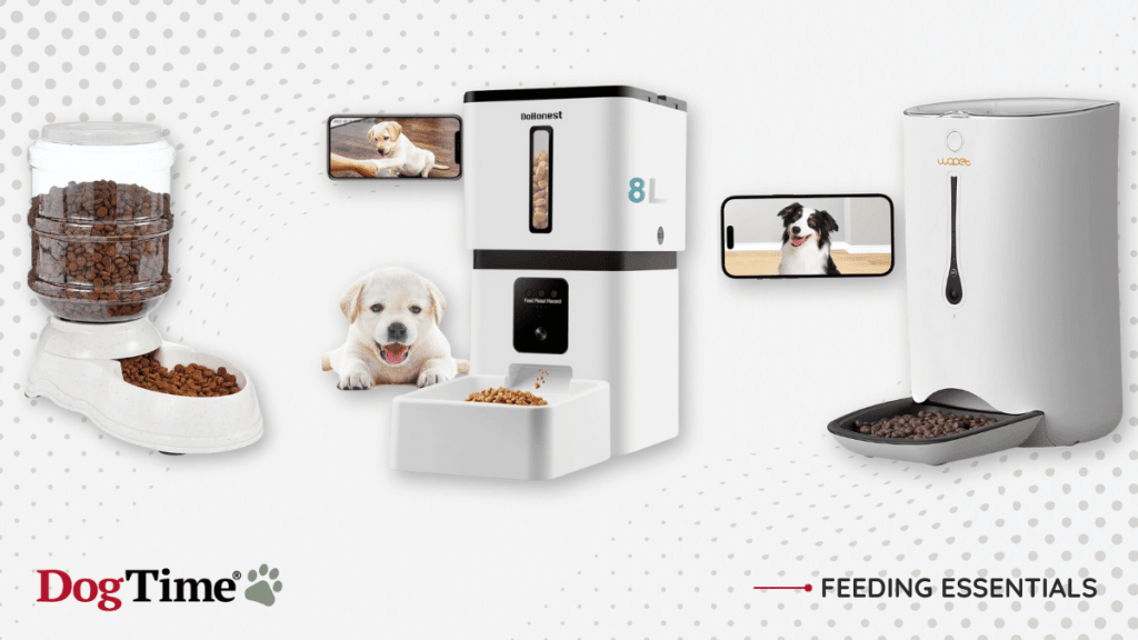 An application scenario or product detail of self feeding dog feeder - Image 11