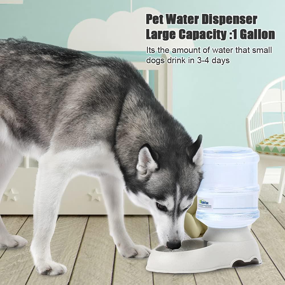 An application scenario or product detail of self feeding dog feeder - Image 16