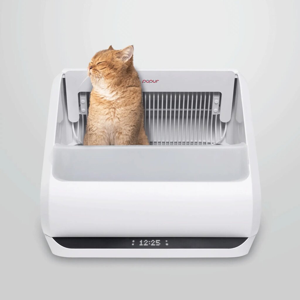 Featured image for the self washing cat litter box guide