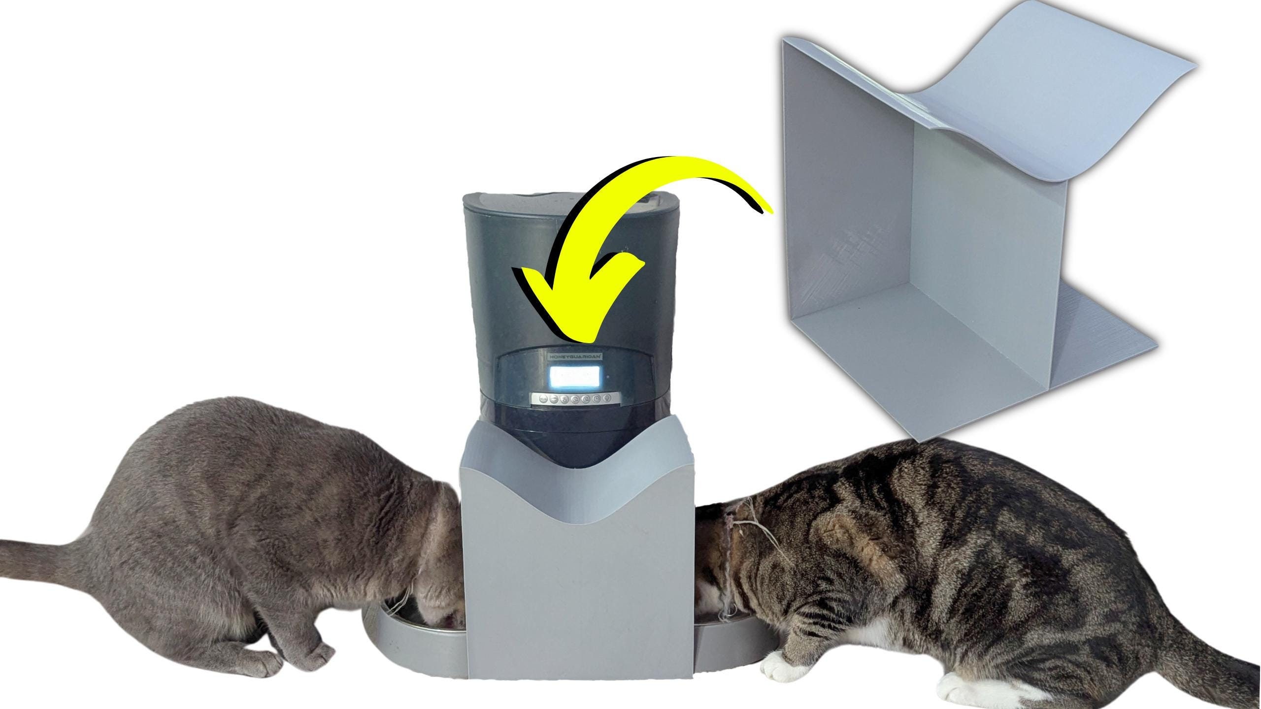 An application scenario or product detail of separate cat feeders - Image 2
