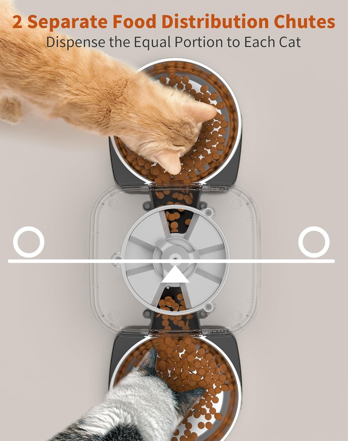 An application scenario or product detail of separate cat feeders - Image 4