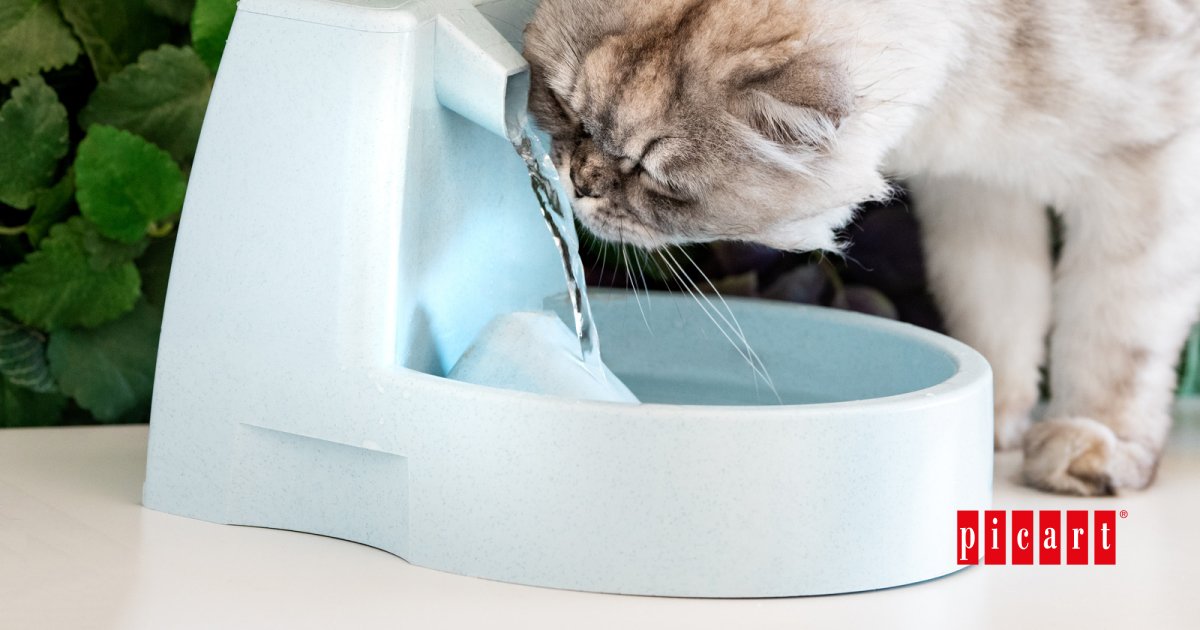 An application scenario or product detail of should cats drink cold water - Image 15