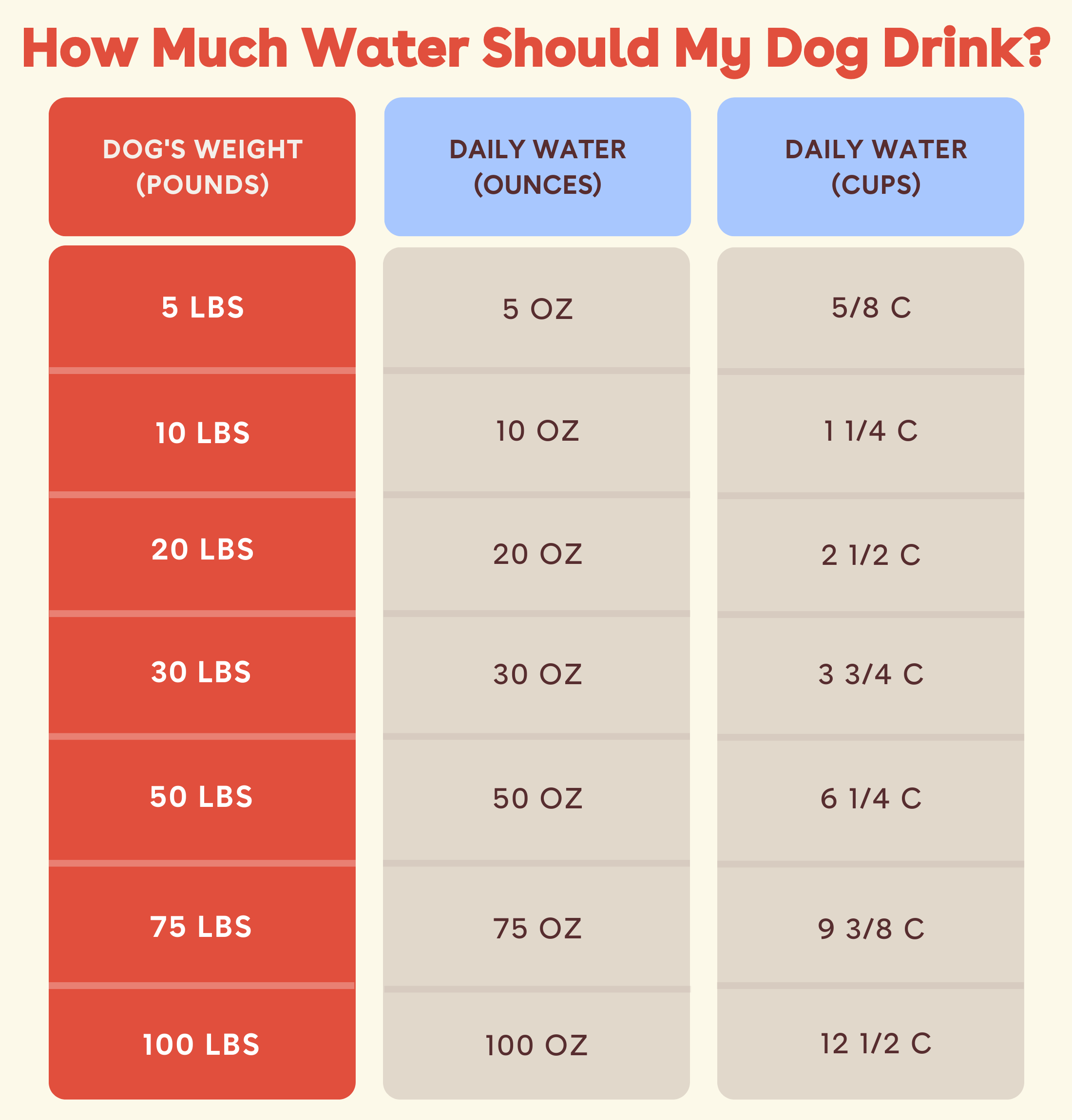 An application scenario or product detail of should dogs drink cold water - Image 17