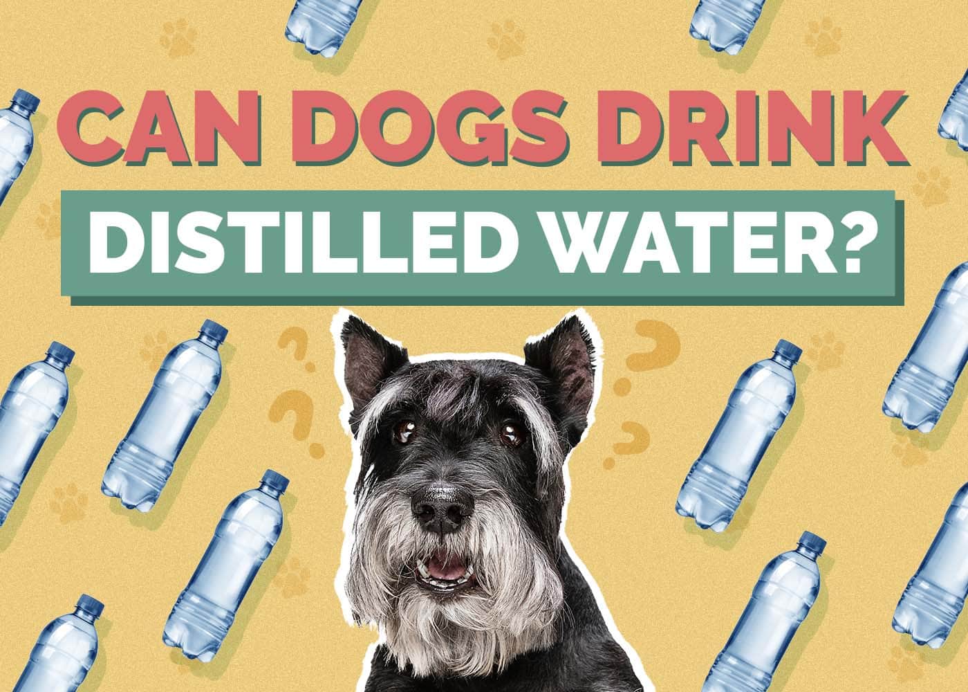 An application scenario or product detail of should dogs drink cold water - Image 19