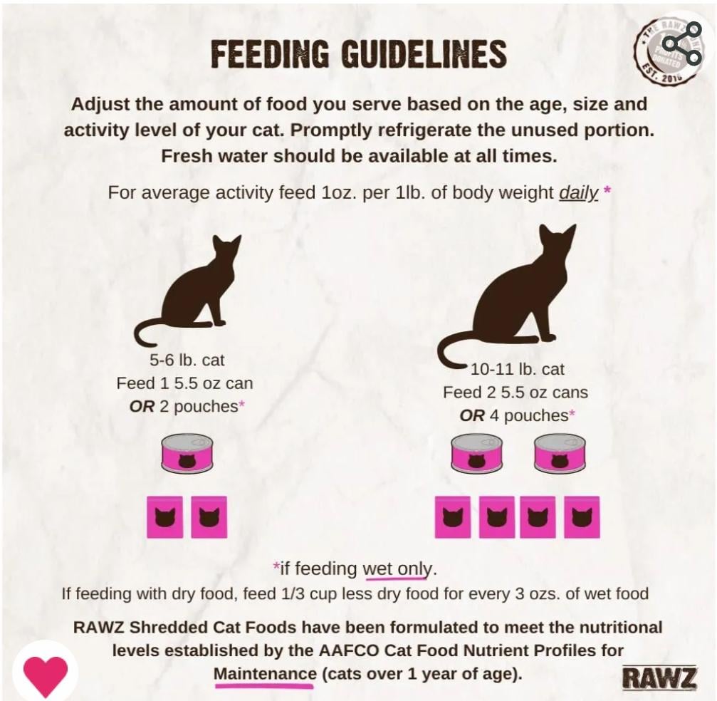An application scenario or product detail of should i feed my cat wet food - Image 14