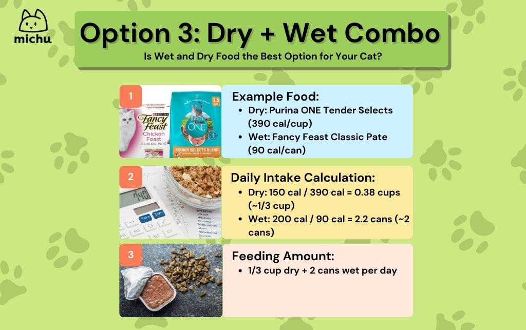 An application scenario or product detail of should i feed my cat wet food or dry food - Image 13
