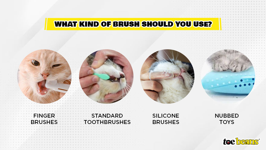 An application scenario or product detail of should you brush a cats teeth - Image 24