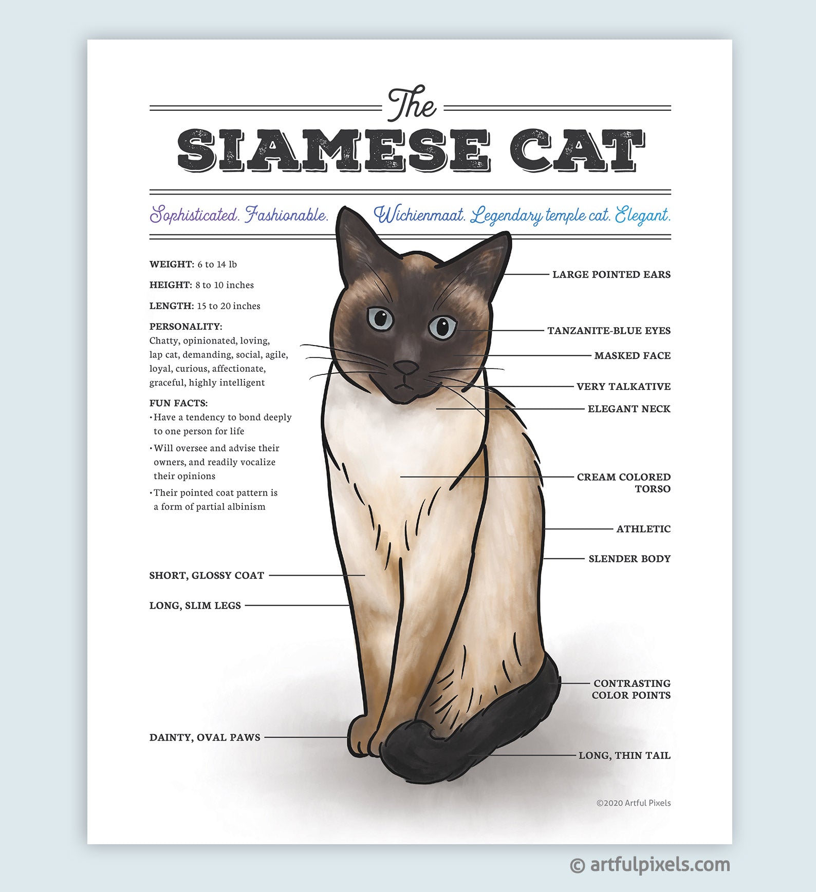 An application scenario or product detail of siamese cat personality - Image 9