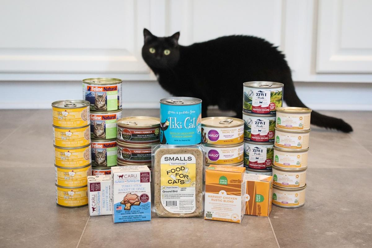 An application scenario or product detail of single serve wet cat food - Image 24