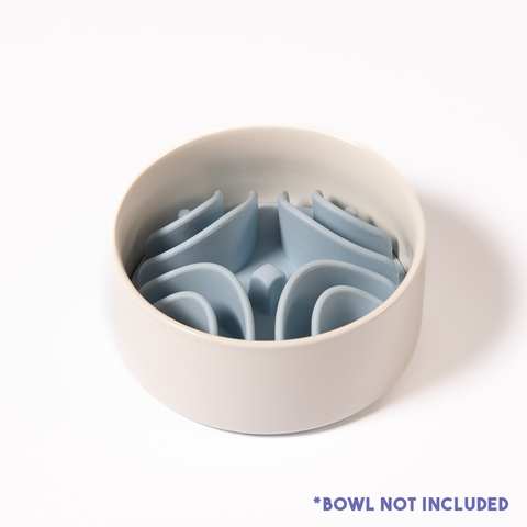 An application scenario or product detail of slow feeder insert for cats - Image 4