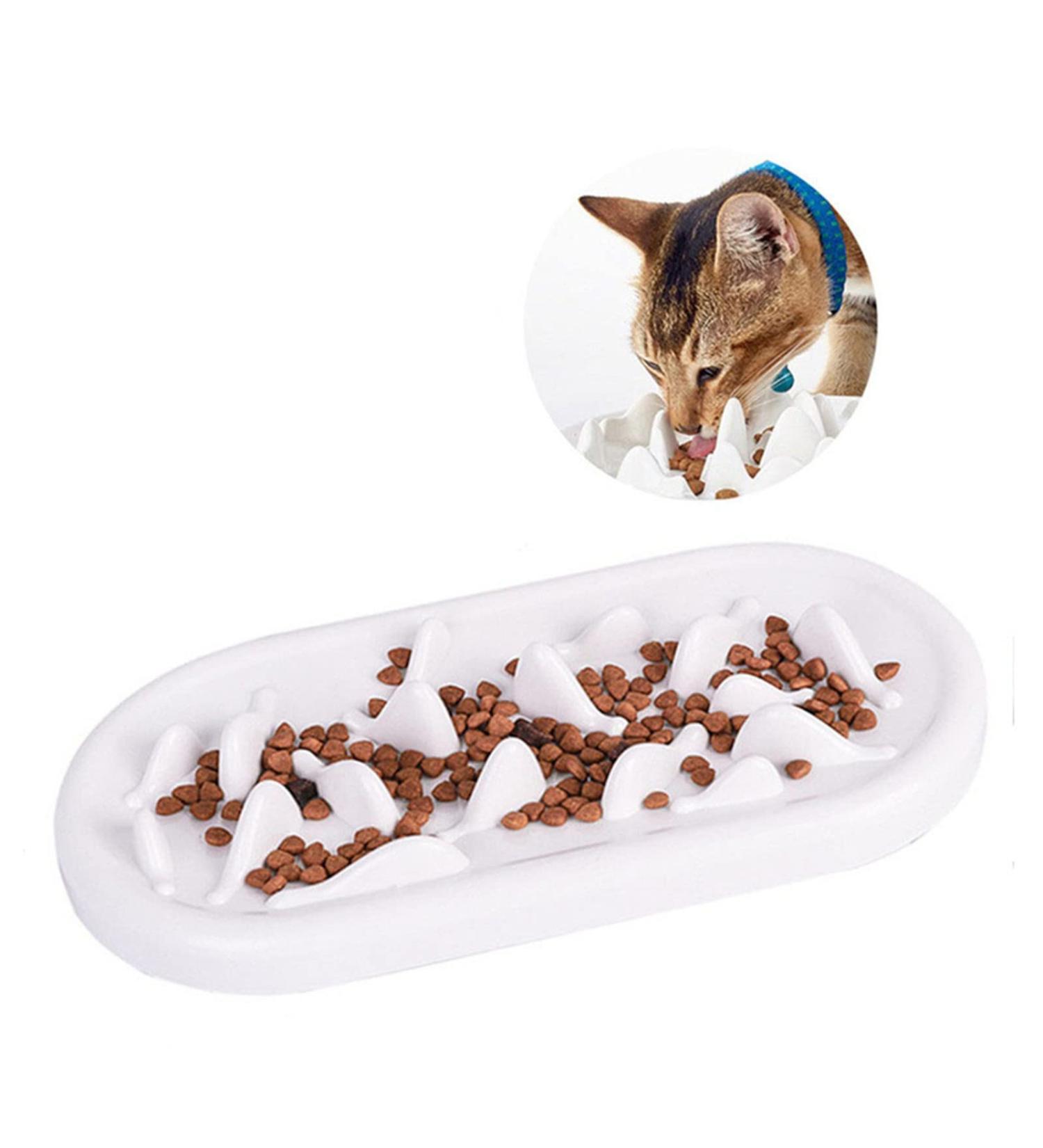 An application scenario or product detail of slow feeder insert for cats - Image 18