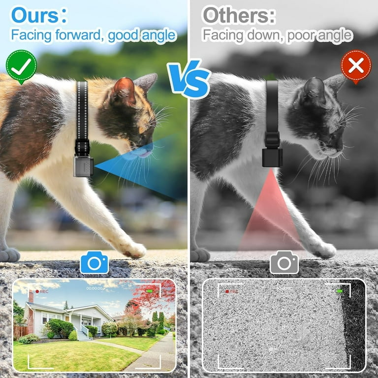 An application scenario or product detail of small cat camera collar - Image 11