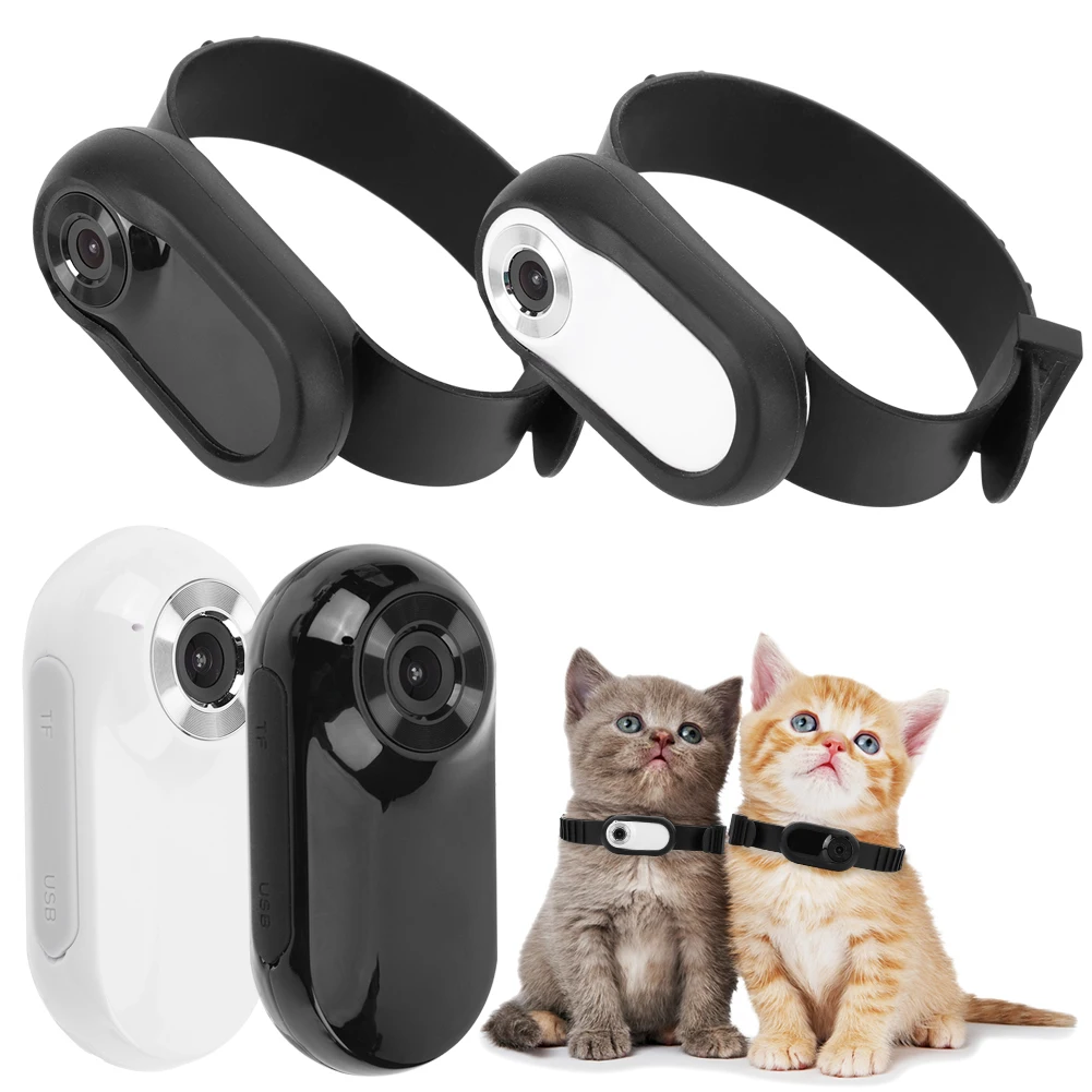 An application scenario or product detail of small cat camera collar - Image 15