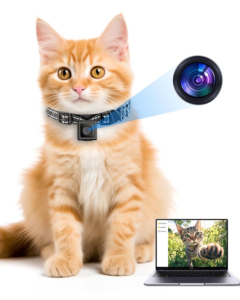 An application scenario or product detail of small cat camera collar - Image 19