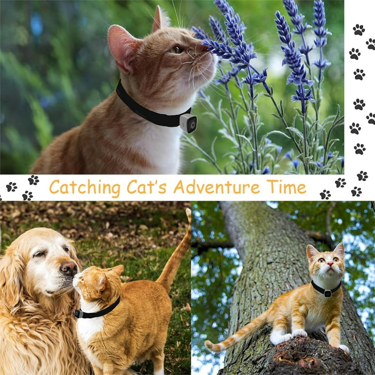 An application scenario or product detail of small cat camera collar - Image 20