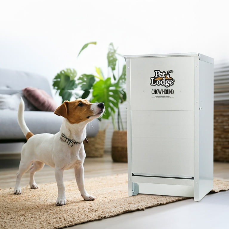 An application scenario or product detail of small dog feeder - Image 6