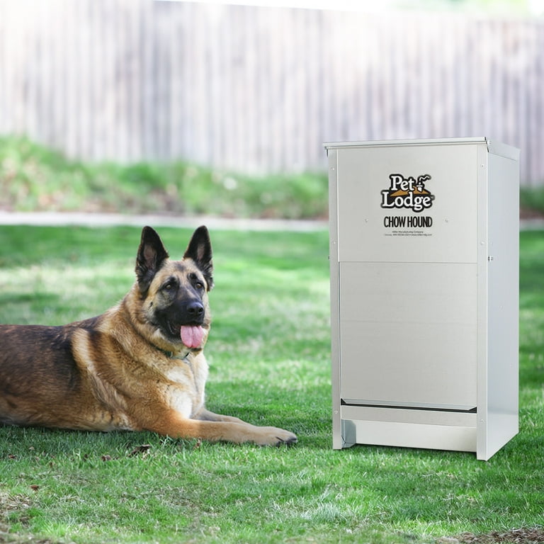 An application scenario or product detail of small dog feeder - Image 12