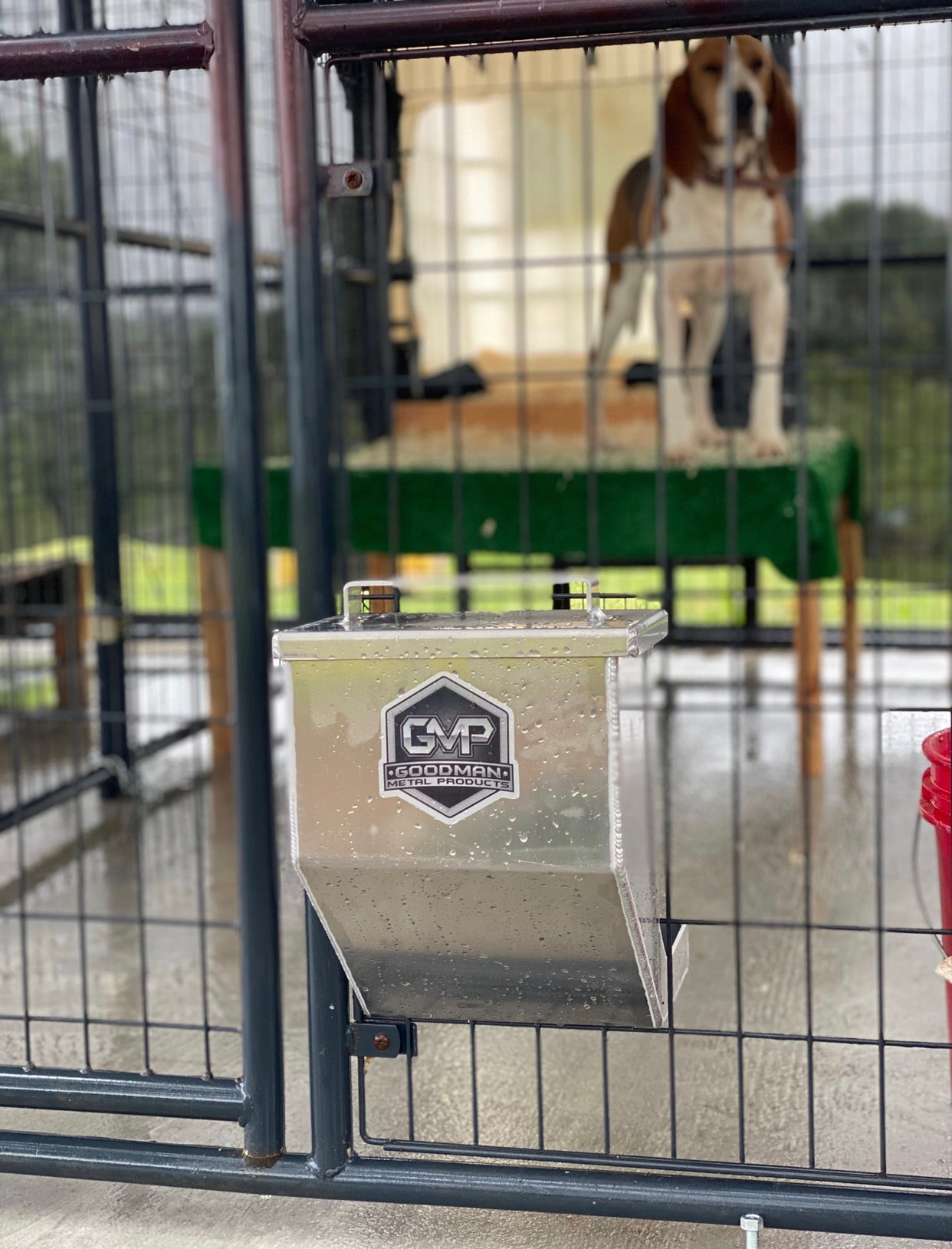 An application scenario or product detail of small dog feeder - Image 15