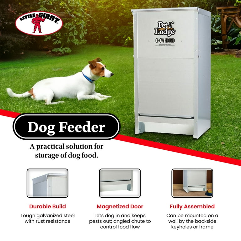 An application scenario or product detail of small dog feeder - Image 18