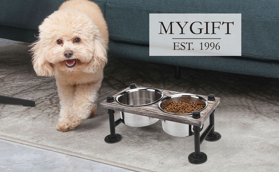 Featured image for the small dog feeder guide